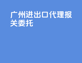 广州进出口代理报关委托
