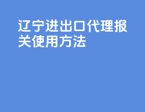 辽宁进出口代理报关使用方法