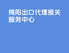 揭阳出口代理报关服务中心