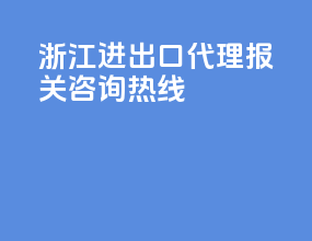 浙江进出口代理报关咨询热线