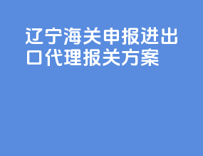 辽宁海关申报进出口代理报关方案