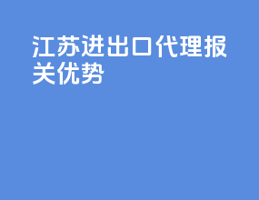 江苏进出口代理报关优势
