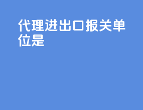 代理进出口报关单位是