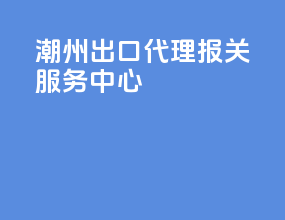 潮州出口代理报关服务中心