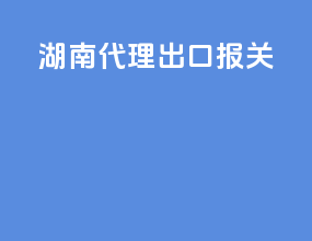 湖南代理出口报关