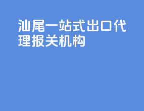 汕尾一站式出口代理报关机构
