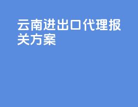 云南进出口代理报关方案