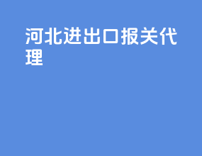 河北进出口报关代理