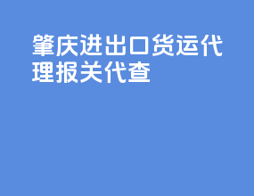 肇庆进出口货运代理报关代查