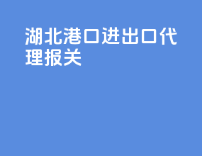 湖北港口进出口代理报关