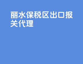 丽水保税区出口报关代理