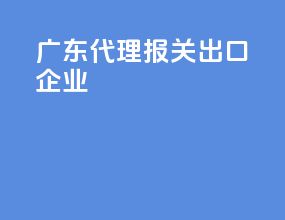 广东代理报关出口企业