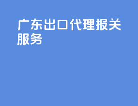 广东出口代理报关服务