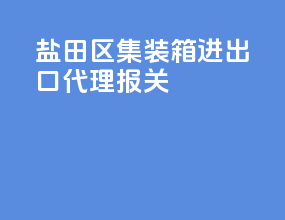 盐田区集装箱进出口代理报关