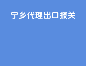 宁乡代理出口报关