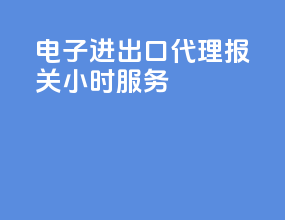 电子进出口代理报关24小时服务