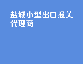 盐城小型出口报关代理商
