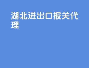 湖北进出口报关代理