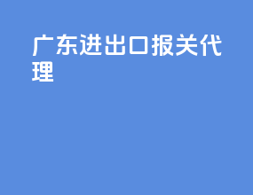 广东进出口报关代理