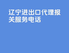 辽宁进出口代理报关服务电话