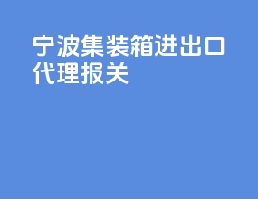 宁波集装箱进出口代理报关