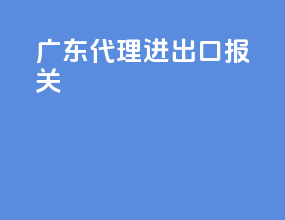 广东代理进出口报关