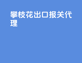 攀枝花出口报关代理