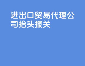 进出口贸易代理公司抬头报关