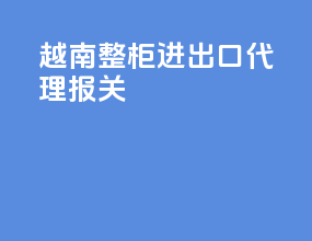越南整柜进出口代理报关