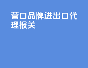 营口品牌进出口代理报关