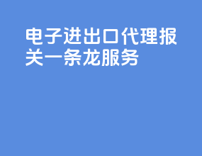 电子进出口代理报关一条龙服务
