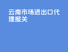 云南市场进出口代理报关