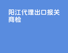 阳江代理出口报关商检