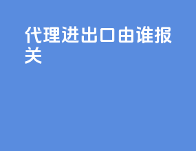 代理进出口由谁报关