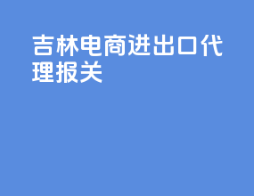 吉林电商进出口代理报关