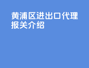 黄浦区进出口代理报关介绍