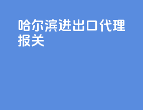 哈尔滨进出口代理报关