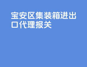 宝安区集装箱进出口代理报关