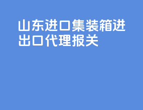 山东进口集装箱进出口代理报关