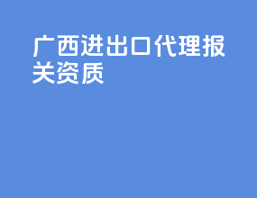 广西进出口代理报关资质