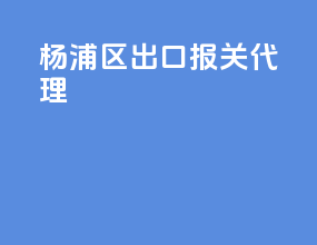 杨浦区出口报关代理