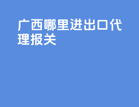 广西哪里进出口代理报关