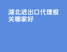 湖北进出口代理报关哪家好