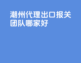潮州代理出口报关团队哪家好