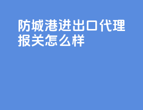 防城港进出口代理报关怎么样