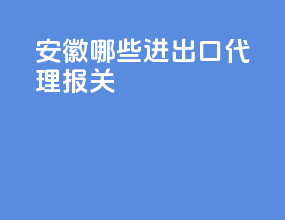 安徽哪些进出口代理报关