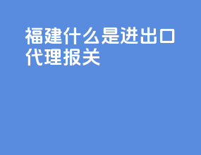 福建什么是进出口代理报关