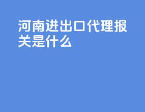 河南进出口代理报关是什么