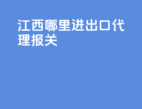 江西哪里进出口代理报关