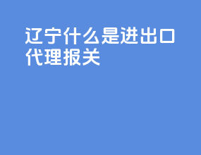 辽宁什么是进出口代理报关
